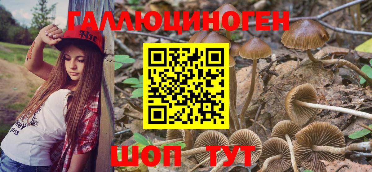 Долгопрудный  Псилоцибиновые грибы Cubensis  где купить наркоту  Вход с VPN 