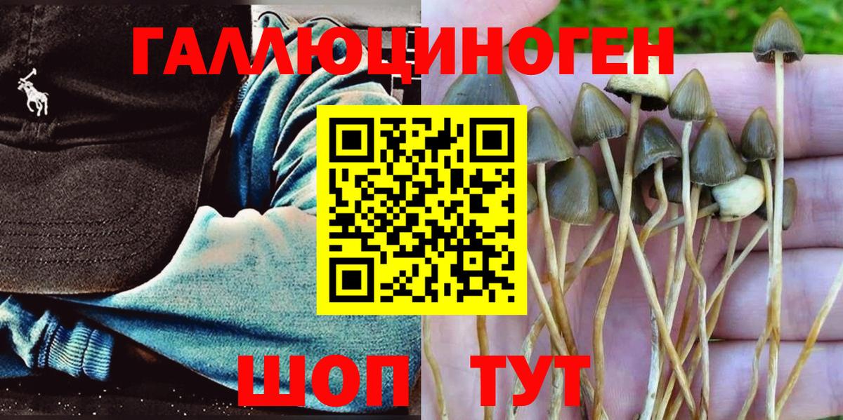 Галлюциногенные грибы MAGIC MUSHROOMS Долгопрудный
